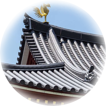 安全性(xing)能(neng)強